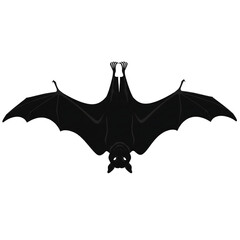 Dark Hanging Bat Silhouette with Spread Wings on Transparent Background