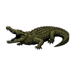 Fototapeta premium Green Crocodile with Open Mouth on Transparent Background Vector Illustration