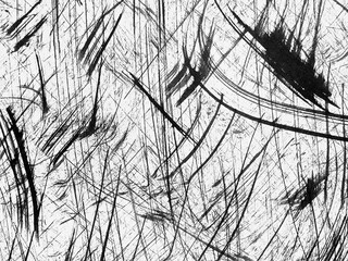 Abstract black and white artwork featuring dynamic lines and textures in a contemporary style