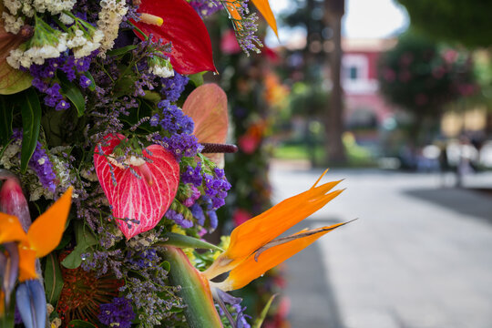 Fiori colorati all'aperto