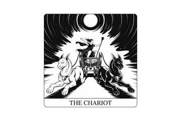 The chariot tarot card shows a driver in a chariot pulled by two horses under the moon, isolated on transparent background