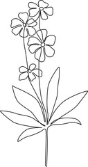 Delicate Flowers Line Art A Study in Botanical Elegance single line art