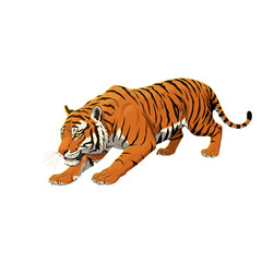 Obraz premium Crouching Orange Striped Tiger on Transparent Background