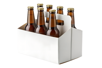 Six Pack of Beer Bottles in Blank White Cardboard Carrier



