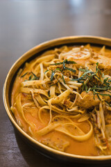 close up of an authentic Nyonya Laksa mee