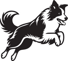 Border Collie Dog Vector – Silhouette 