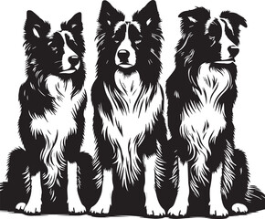 Border Collie Dog Vector – Silhouette 
