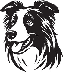 Border Collie Dog Vector – Silhouette 