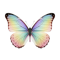 A beautiful butterfly with iridescent wings in pastel rainbow colors isolated on white