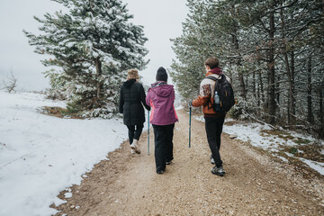 Three friends walking along a snowy forest trail, enjoying a day of hiking together amidst the...
