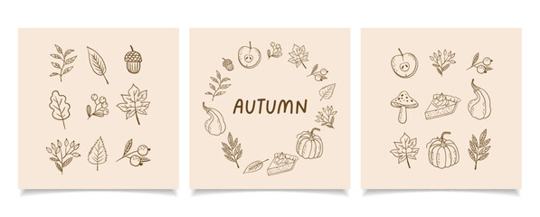 Hand draw autumn collection. Leaves, berries, pumpkin. Crayon drawing style, autumn design