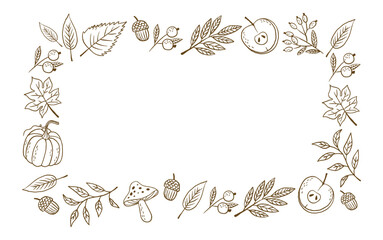 Hand draw autumn collection. Leaves, berries, pumpkin. Crayon drawing style, autumn design
