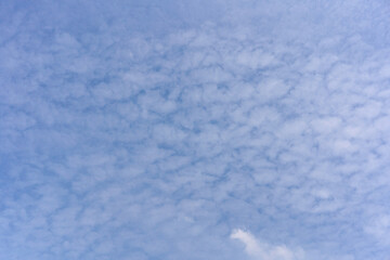 A beautiful, textured background of scattered white cirrocumulus clouds against a light blue sky,...