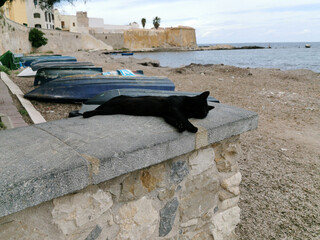 Black cat lounging on a stone wall by the beach, with colorful boats resting on the shore and a serene ocean view in the background, capturing a tranquil coastal scene