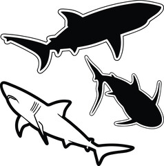 Black and White Shark Illustrations