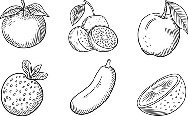 Artistic drawing of assorted fruits like strawberry and orange in monochrome