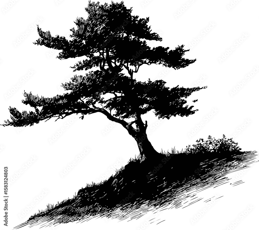 Poster silhouette of a lone tree on a hill with intricate branch details