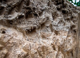 soil texture close up