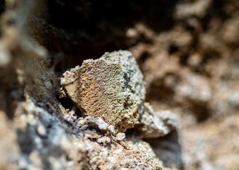 soil texture close up