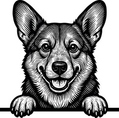 Pembroke Welsh Corgi Peeking vector silhouette design