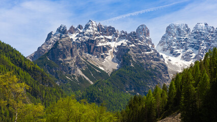 The rugged, snow-capped peaks of the Cristallo mountain group towering over a lush green pine forest, under a bright blue sky with wispy clouds.