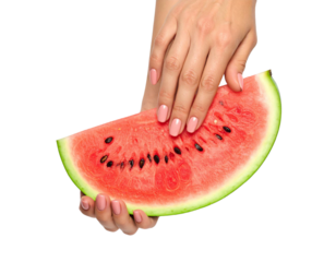 Female Hands with Red Manicure on Fresh Watermelon Slice with Green Leaves on Transparent Background