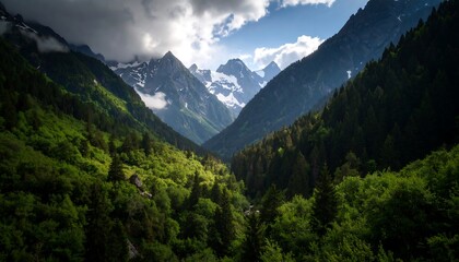 Fototapeta premium Mountain valley scene with lush greenery