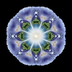 Vibrant floral mandala design on black background.