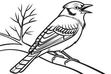 coloring page line art the bluebird black vector
