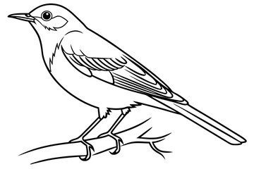 coloring page line art the bluebird black vector