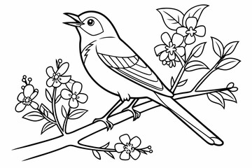 coloring page line art the bluebird black vector
