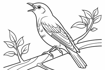 coloring page line art the bluebird black vector