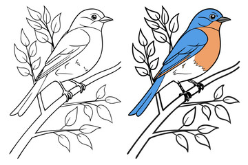 coloring page line art the bluebird black vector