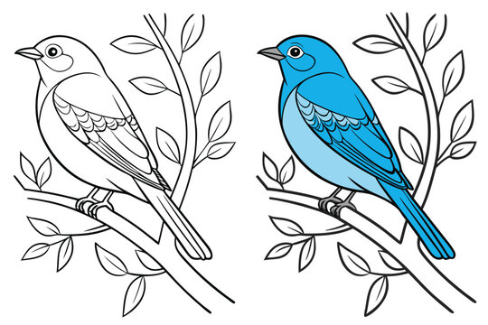 Bird Color Page: Fun and Creative Coloring Ideas for Kids