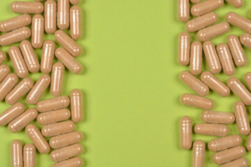 A symmetrical arrangement of numerous light brown capsules forms two vertical borders on a vibrant...