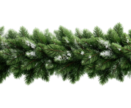 Holiday decoration christmas theme evergreen garland home festive. Isolated on transparent background, png.