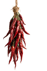 A bunch of dried red chili peppers hanging from a string against a white wall.