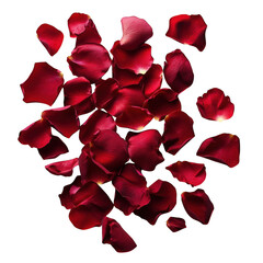 Fototapeta premium A scattered collection of deep red rose petals with delicate veins and soft lighting isolated on transparent background