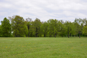 Obraz premium Green Meadow and Lush Trees Under Cloudy Sky