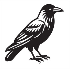 Fototapeta premium Crow svg 