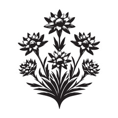 Edelweiss black and white silhouette vector icon
