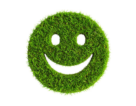 Green grass face smile. Smiley grassy icon, isolated white background. Ecology concept. Happy smiling sign. Symbol eco lawn, nature, safe environment, healthy, fresh spring Vector illustration