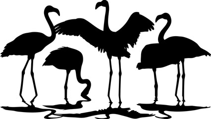 Naklejka premium Silhouette depiction of four flamingos standing in water with one flamingo spreading its wings wide open