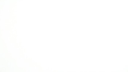 Minimal Pure White Canvas