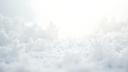 Winter Frost Background Scene