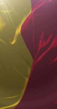 Azuay Province Flag, Ecuador. Loop. 4K Vertical