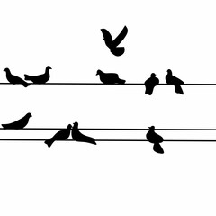 Silhouette of a flock of pigeons perched on a power line on a white background. Vector illustration.
