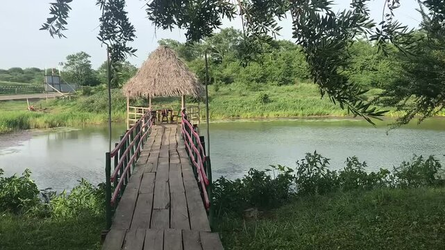 Wooden Bridge over the Lake. Tranquil lakeside: Wooden bridge to thatched pavilion. Winds blow, foreground plants droop and sway. Surrounding greenery dances, capturing serene natural motion.