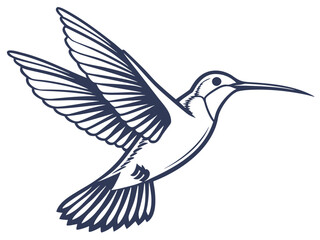 Fototapeta premium vector illustration of a dove