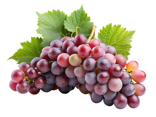 Fototapeta premium Photo of a bunch of red grapes with green leaves isolated on transparent background